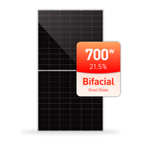 Painel solar fotovoltaico bifacial monocristalino da China Facotry